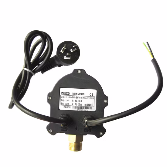 4kw Automatic Double Water Pump Pressure Controller for Farm Irrigation